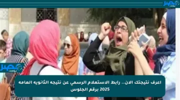 اعرف نتيجتك الآن.. رابط الاستعلام الرسمي عن نتيجة الثانوية العامة 2025 برقم الجلوس